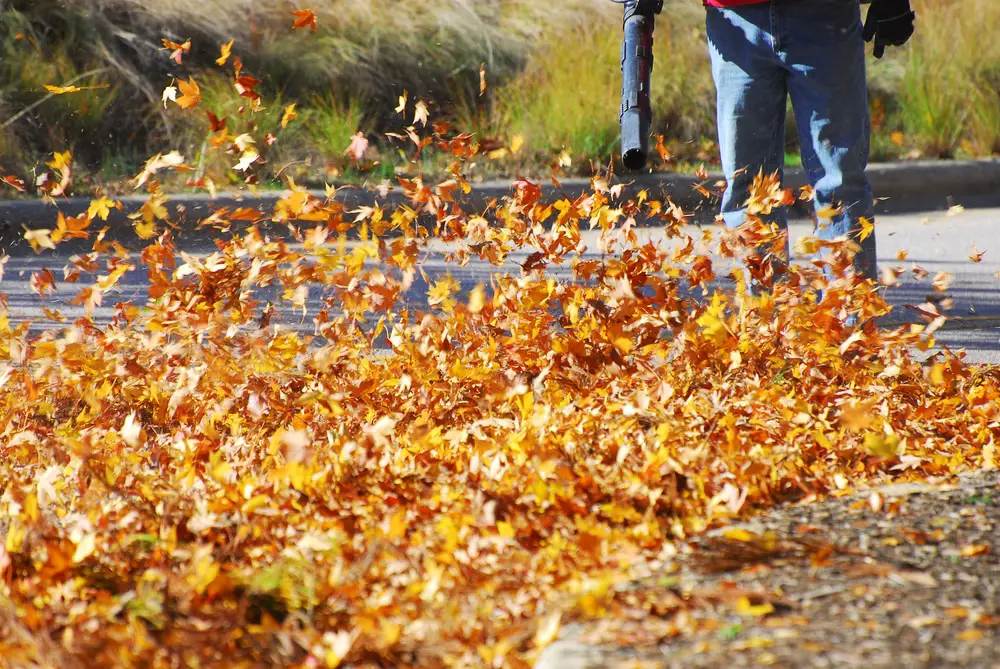 Conseils pour choisir un aspirateur souffleur