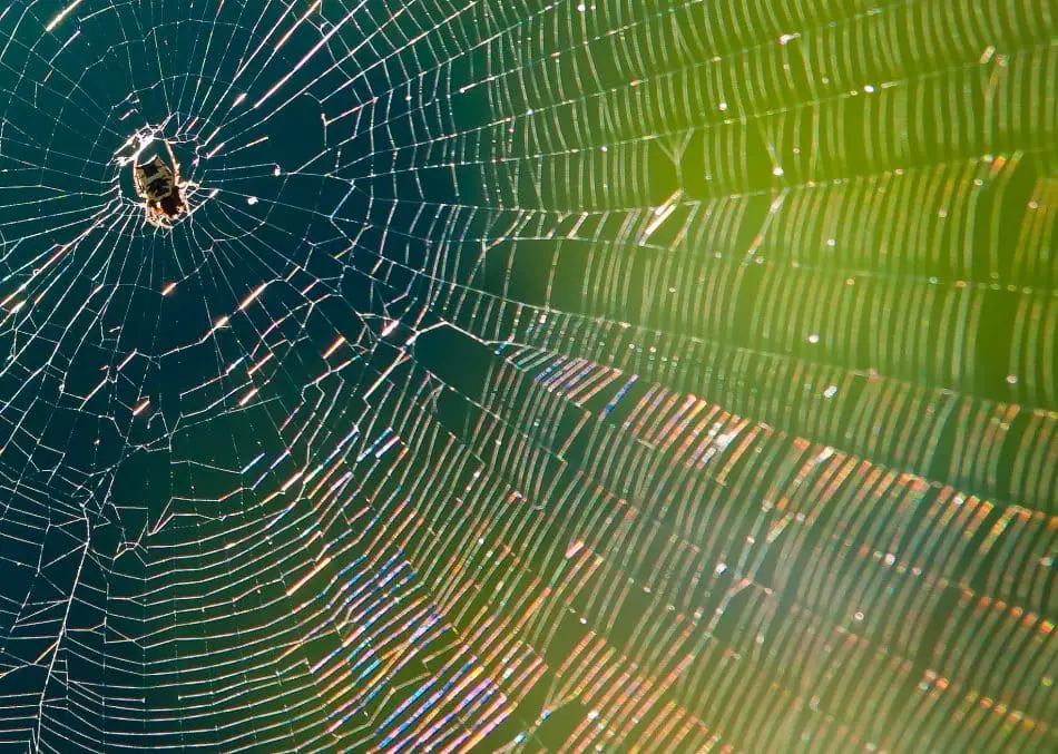 Comment Enlever Les Toiles D Araignees En Hauteur Aspix Fr